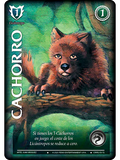 Cachorro
