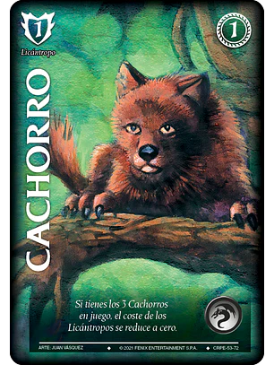 Cachorro