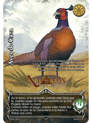 Aves de Caza