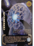 Cerebelum (KVM - Vasalla Foil)