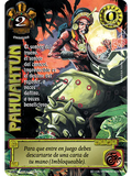 Pahuahtun