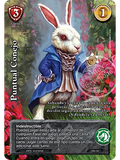 Puntual Conejo (Kit Racial 2024 - Reprint)
