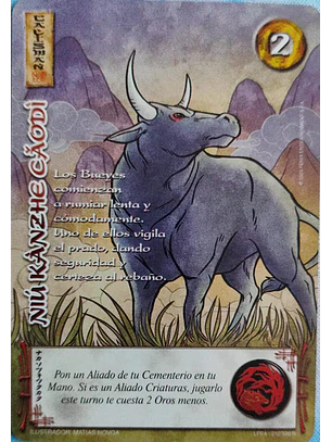Niu Kanzhe Caodi (LPE4 - Real)