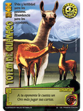 Totem de Guanaco