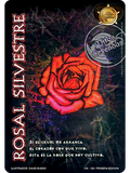 Rosal Silvestre