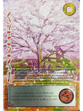 Sakura (LPE4 - MR)