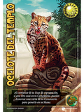 Ocelote del Templo (KB23 - Buy a box)