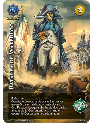 Batalla de Waterloo (TK25)