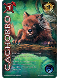 Cachorro