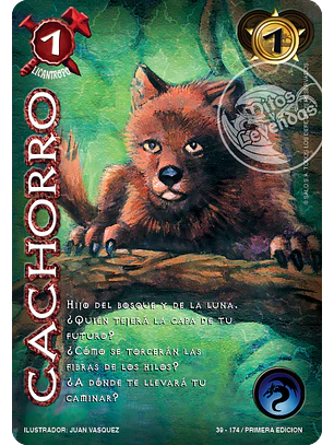 Cachorro