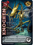 Knochen