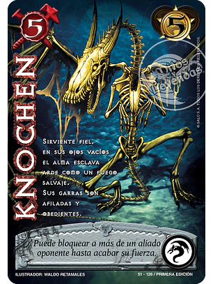 Knochen