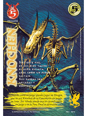 Knochen (REX)