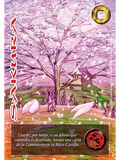 Sakura (KB23 - Buy a box)