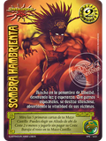 Sombra Hambrienta (VDLN)