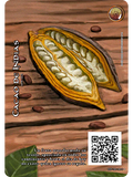 Cacao de indias (EXP - VC Foil)