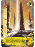 Circulo de piedra(tkpe26)
